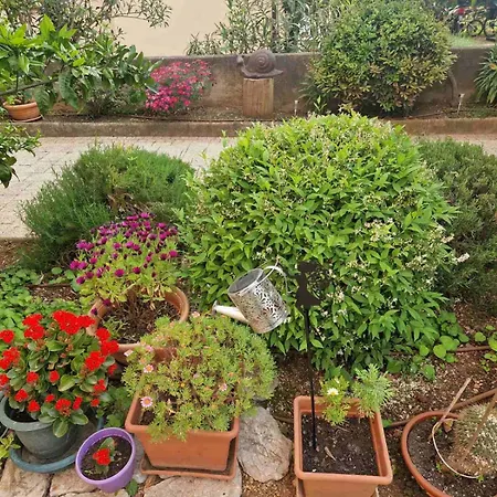 Ruza Apartman *