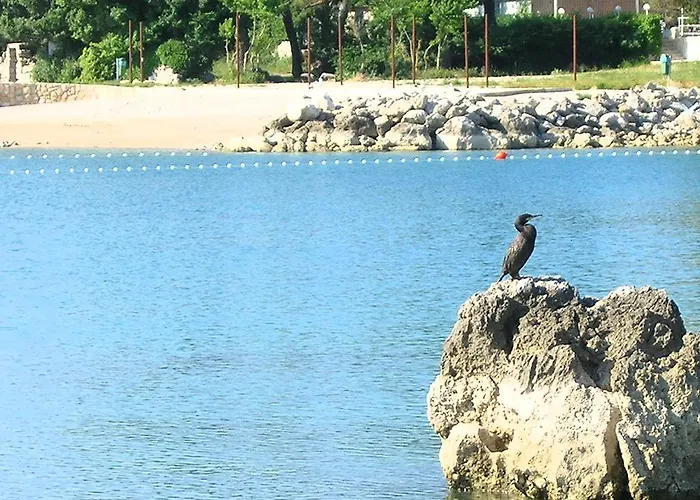 Διαμέρισμα Ruza *